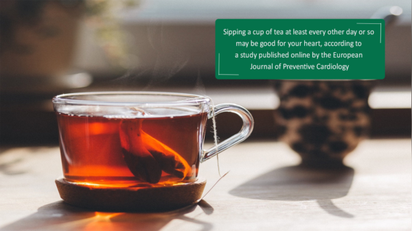 Good News for Tea Lover! Regular Tea is Good for Health